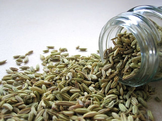 fenchel-oder-eine-mischung-aus-fenchel-und-kuemmel-cc0-pixabay-publicdomainpictures-220728_download Fenchel oder eine Mischung aus Fenchel und Kümmel können Koriandersamen ersetzen.