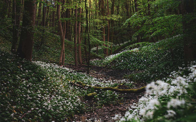 Nachhaltige Reiseziele Deutschland Saarland Nachhaltige Reiseziele Deutschland Saarland