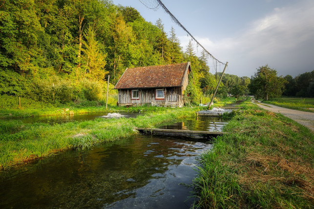 forellen-werden-oft-in-naturnahen-becken-gezuechtet-cc0-pixabay-fietzfotos-200226_download Forellen werden oft in naturnahen Becken gezüchtet.
