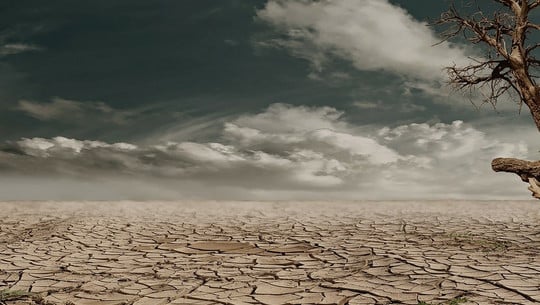 wueste-cc0-pixabay-_marion-180323 Wüste