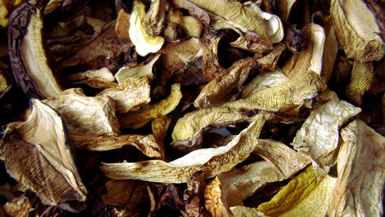 steinpilze-trocknen-cc0-pixabay-niebieskibanan-200914 Steinpilze trocknen