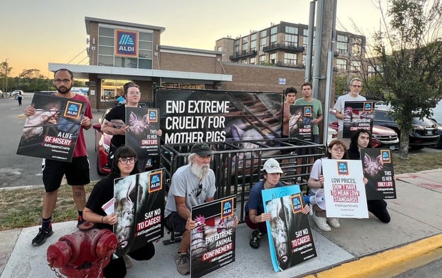 Warum Menschen in den USA jetzt gegen Aldi demonstrieren Aldi US