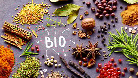 Bio Gewürze kaufen online Versand Bio Gewürze kaufen online Versand