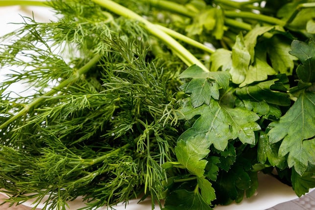 petersilie-dill-und-estragon-sind-eine-gute-misch-cc0-pixabay-alexei_other-220728_download Gemischt sind Petersilie, Dill und Estragon ein guter Koriander-Ersatz.