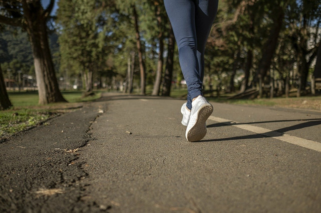 beim-slow-jogging-kommt-es-auch-auf-die-richtigen-cc0-pixabay-fotorech-210608_download Beim Slow Jogging kommt es auch auf die richtigen Schuhe an.