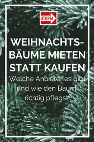 weihnachtsbaum-mieten-getty-IrisImages-191129 Gute Idee: Weihnachtsbäume mieten statt kaufen