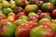 die-mango-steckt-voller-vitamine-und-ist-deshalb-e-cc0-pixabay-robert-owen-wahl-190520_download Die Mango steckt voller Vitamine und ist deshalb eine gesunde Vitaminbombe.