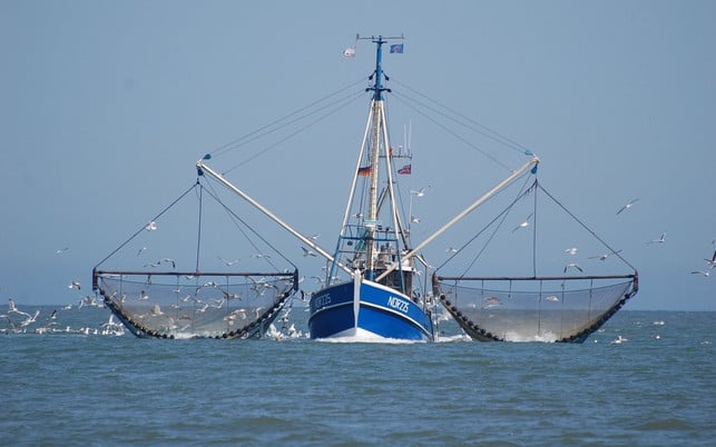 fischkutter-an-der-nordsee-cc0-pixabay-siebenhochsieben-180624 Fischkutter an der Nordsee