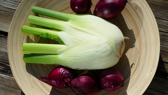 fenchelsalat-cc0-pixabay-violetta51-191202 fenchelsalat