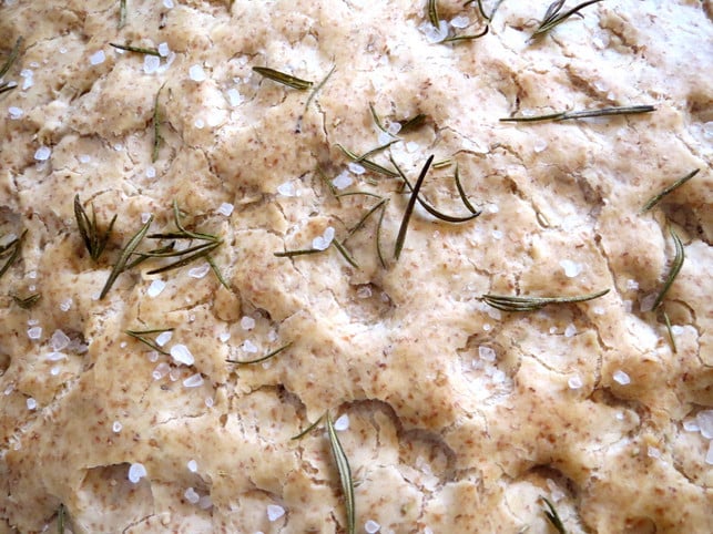 bevor-die-focaccia-in-den-ofen-kommt-drueckst-du-m-leonie-barghorn-utopia-200201_download Bevor die Focaccia in den Ofen kommt, drückst du Mulden in den Teig und bestreichst ihn mit Olivenöl.