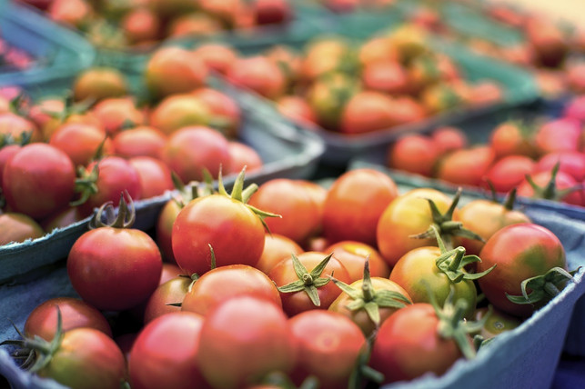 mit-unreifen-tomaten-solltest-du-vorsichtig-sein-cc0-pixabay-wild0ne-230615_download Mit unreifen Tomaten solltest du vorsichtig sein.