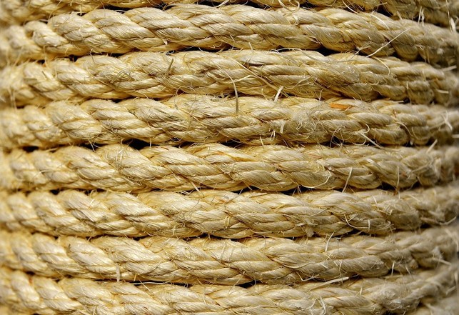 beim-sisalteppich-reinigen-solltest-du-kein-wasser-cc0-pixabay-alexas_fotos-210819_download Beim Reinigen von Sisalteppichen solltest du kein Wasser verwenden, da es die Fasern beschädigt.