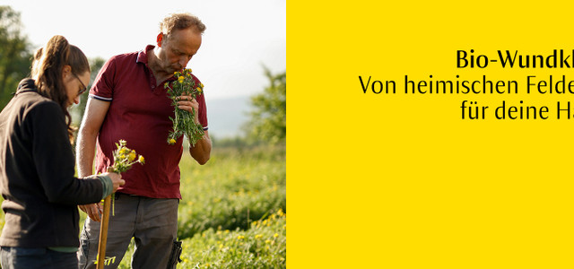 Dr Hauschka Limited Edition Bio-Wundklee Hautpflege