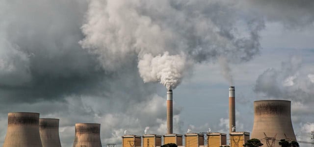 Bevor man mit Seegras CO2 kompensiert, sollte man CO2-Emissionen verringern.