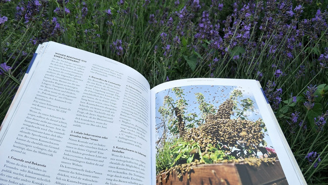 buchtipp-bienen-halten-mit-der-bienenbox-sven-christian-schulz-utopia-180613_download In diesem Buch finden Jung-Imker viele nützliche Ratschläge