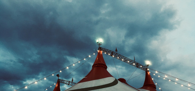 Stadt verbietet Löwen-Show in Wiesbadener Weihnachtscircus