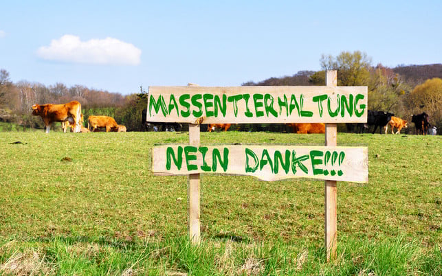 triodos-geld-wichtig-1280x800 Triodos Finanzen nachhaltig Massentierhaltung