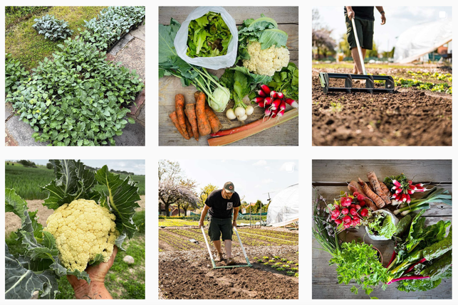 gaertner-linus-lebt-regionalen-konsum-vor-screenshot-_vom_garten_leben-instagram-220713_download Gärtner Linus lebt regionalen Konsum vor