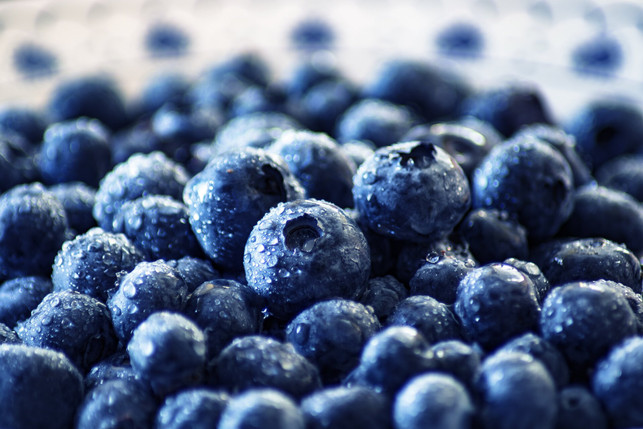 blaubeeren-sind-nicht-nur-gesund-sie-werden-auch-cc0-pixabay-51581-250312_download Blaubeeren sind nicht nur gesund, sie werden auch von vielen Menschen mit Fructoseintoleranz gut vertragen.