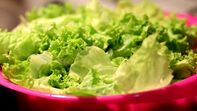 salat-immer-waschen-pb-pexels Egal ob frisch gekauft oder aus der Tüte: Salat vor dem Verzehr immer waschen.