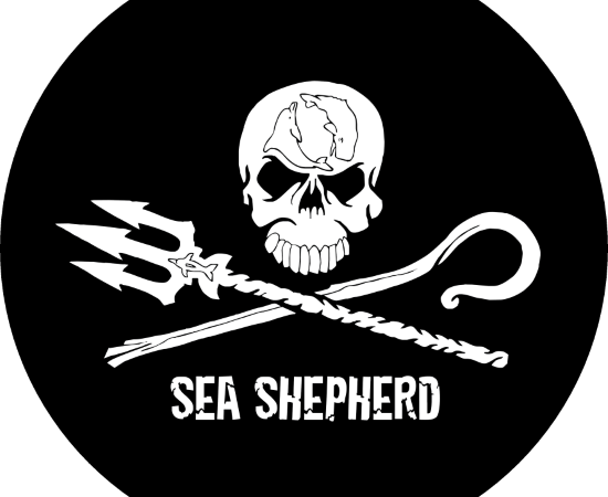 sea-shepherd-ist-eine-in-grossbritannien-gegruendete-seashepherdorg-181130_download Sea Shepherd ist eine in Großbritannien gegründete Tierschutzorganisation, die sich auf Meeresökosysteme spezialisiert hat.