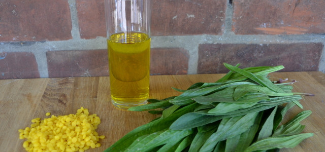 DIY-Spitzwegerich-Salbe gegen Husten und Juckreiz