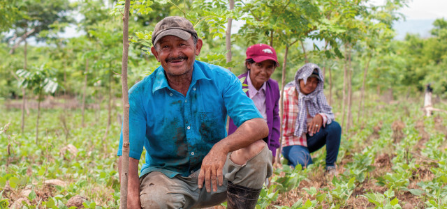 Wie Nicaragua mit Bäumen gegen den Klimawandel ankämpft