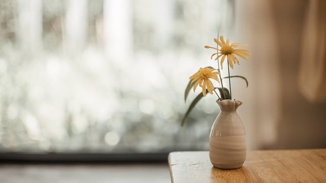 blumenvase-reinigen-cc0--pixabay--ymyphoto-250902 Blumenvase reinigen