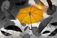 regenschirme-werden-zunehmend-zu-wegwerfprodukten-cc0-pixabay-geralt-181214_download Regenschirme werden zunehmend zu Wegwerfprodukten.