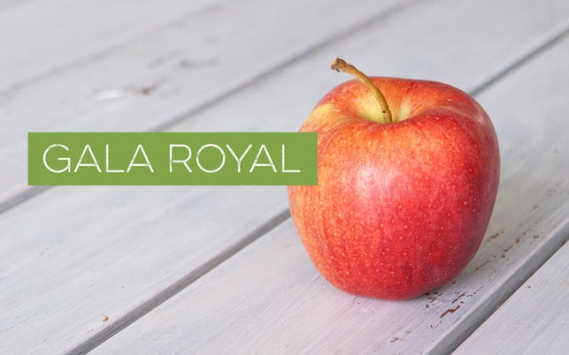 Apfel Gala Royal Apfel Gala Royal