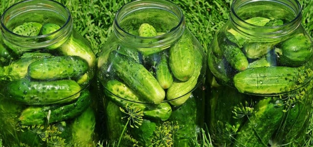 Pickle pickles yourself