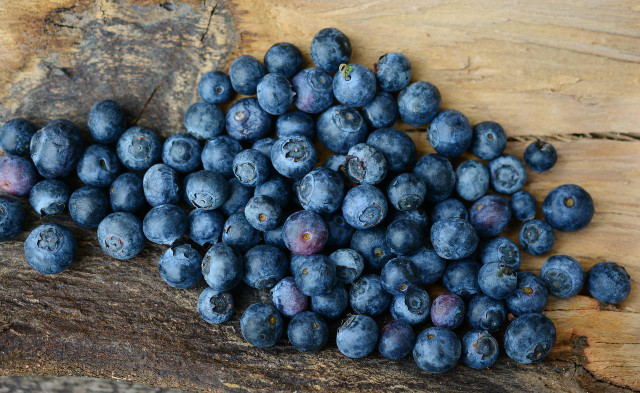 Blaubeeren sind gesund und können verschiedenen Krankheitsbildern vorbeugen.