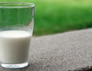 lactit Glss mit Milch