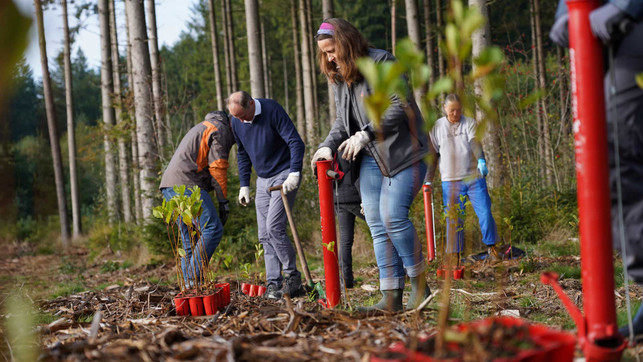 20211013_DSC01378_Fotograf-Hendrik-Bruentgens_Plant-my-tree_1920x1080