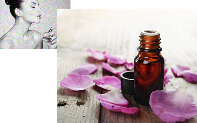 geschenke-alternative-parfum-w-hitdelight-Oleg-Gekman-151124-640x400 Sinnvolle Geschenke: Bio-Parfum