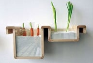 lebensmittel-lagern-ohne-kuehlschrank-regal-karotten-z_www.savefoodfromthefridge.com_161113 Regal statt Kühlschrank