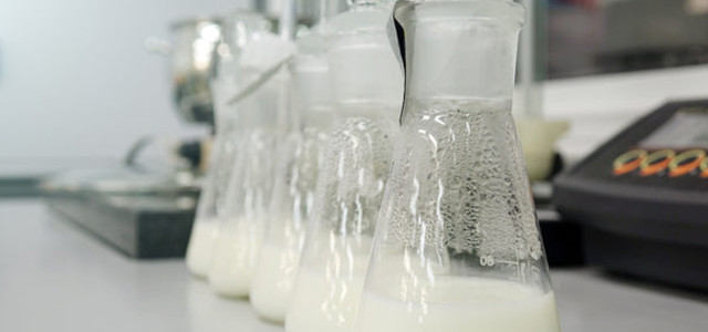 Milch aus dem Labor könnte die neue Alternative zu herkömmlicher Milch sein.