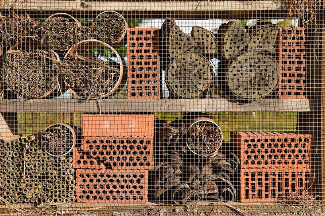so-besser-nicht-diese-wildbienen-nisthilfe-besteh-cc0-pixabay-ulleo-210529_download So besser nicht: Diese Wildbienen-Nisthilfe besteht aus rissigem Holz und Ziegeln mit zu weiten Öffnungen.