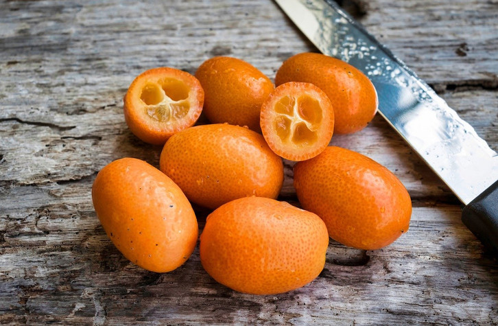 Kumquat: So wchst die Frucht auch in deinem Garten