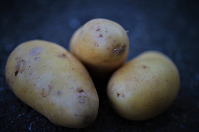 mit-hausmitteln-wie-kartoffeln-kannst-du-rost-aus-cc0-pixabay-carola68-230803_download Mit Hausmitteln wie Kartoffeln kannst du Rost aus der Eisenpfanne unkompliziert entfernen.