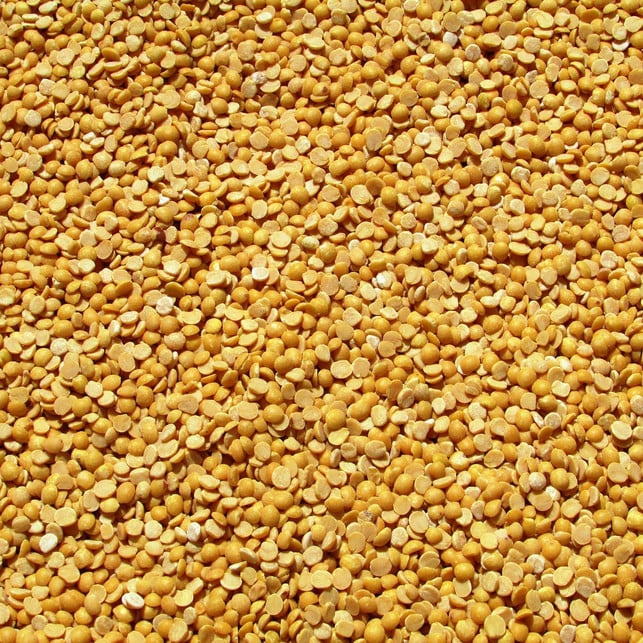 erbsenprotein-wird-aus-gelben-erbsen-hergestellt-cc0-pixabay-vijayanarasimha-221010_download Erbsenprotein wird aus gelben Erbsen hergestellt.