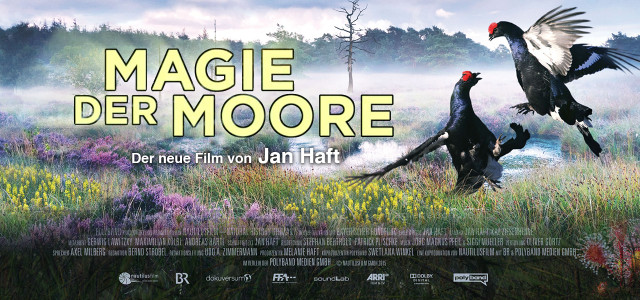 Filmtipp: Die Magie der Moore