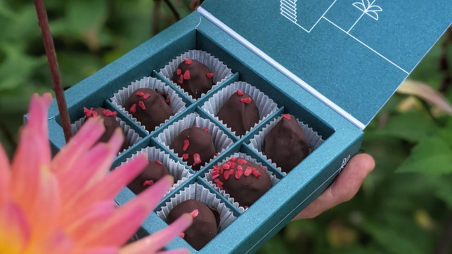 vegane-pralinen-djoon-1280x720 vegane-pralinen-djoon-