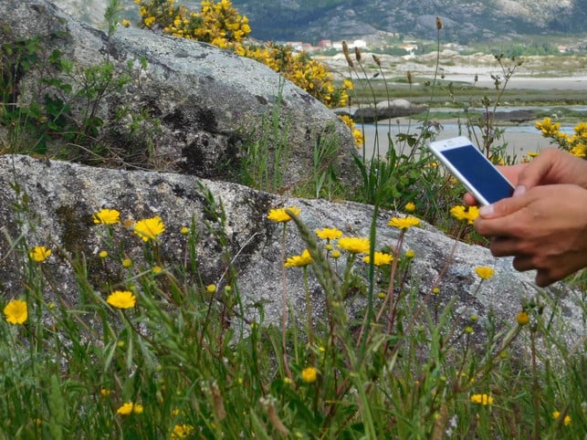 pflanzen-ganz-einfach-mit-dem-smartphone-bestimmen-pascal-thiele-utopiade-180515_download Pflanzen ganz einfach mit dem Smartphone bestimmen