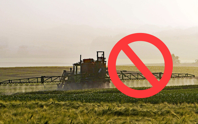 bienen-helfen-pestizide-verbot-pb-cc0-170418-1280x800 Pestizide verbieten und Bienen helfen