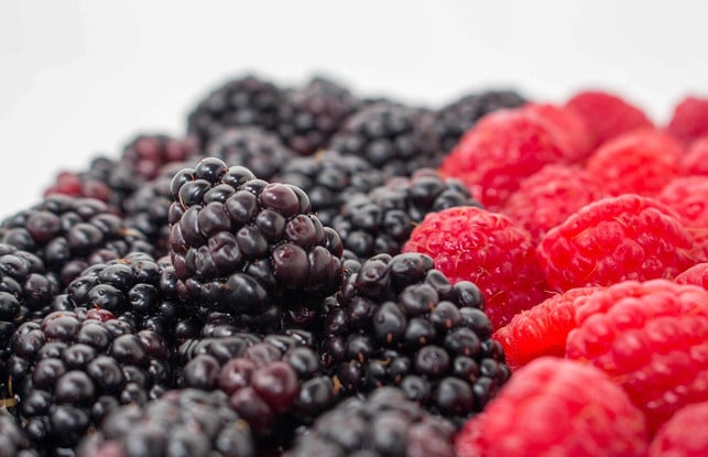 brombeeren-und-himbeeren-sind-eine-beliebte-kombin-cc0-public-domain-pixabay-gregreese-180824_download Brombeeren und Himbeeren sind eine beliebte Kombination in Desserts.
