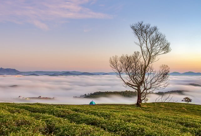 altweibersommer-dank-hohem-luftdruck-tagsueber-sch-cc0-pixabay-bytran2710-231005_download Altweibersommer dank hohem Luftdruck: Tagsüber scheint häufig die Sonne, dafür kann sich in den immer länger werdenden Nächten Nebel bilden.