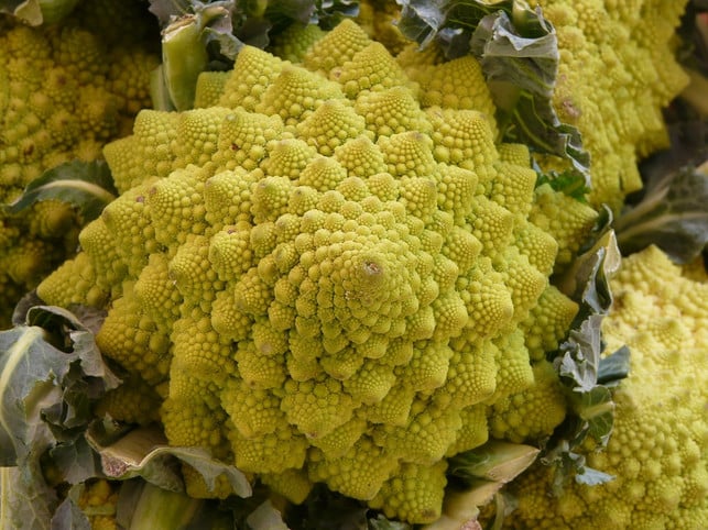auch-romanesco-zaehlt-zu-den-blumenkohl-sorten-du-cc0-pixabay-hans-190328_download Auch Romanesco zählt zu den Blumenkohl-Sorten. Du kannst ihn ebenfalls roh essen.