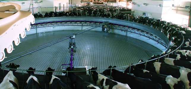 Film-DasSystemMilch-z-EIKON-Media-und-MIRAMONTE-FILM-Martin-Rattini-170809-1280x600 Filmtipp: Das System Milch