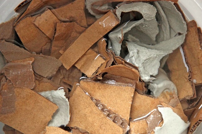 papier-enthaelt-fuer-die-wuermer-wichtigen-kohlenstof-jana-fischer-utopia-180206_download Papier enthält für die Würmer wichtigen Kohlenstoff.